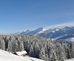 BERGHÜS SCHRATT, vegetarisches und veganes Biohotel, Bayern, Oberstaufen-Steibis