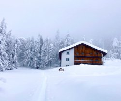 MoaAlm Mountain Retreat, Tirol, Kals Am Grossglockner