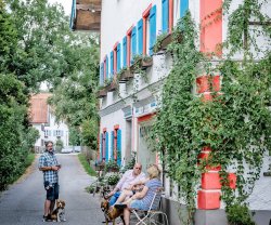 SEENSWERT - Vegane Pension und Ferienwohnungen am Ammersee, Bayern, Pähl