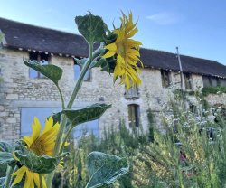 La Grange DesRochers, Île-de-France, Paley